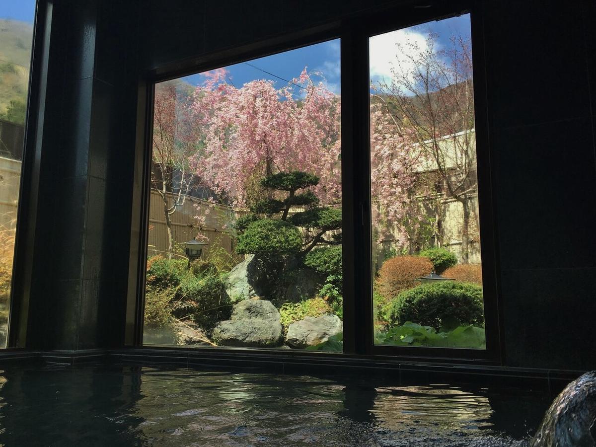 Shoji Mount Hotel Fujikawaguchiko Buitenkant foto